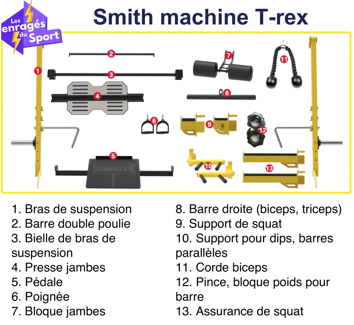 Smith machine T-REX – Image 6