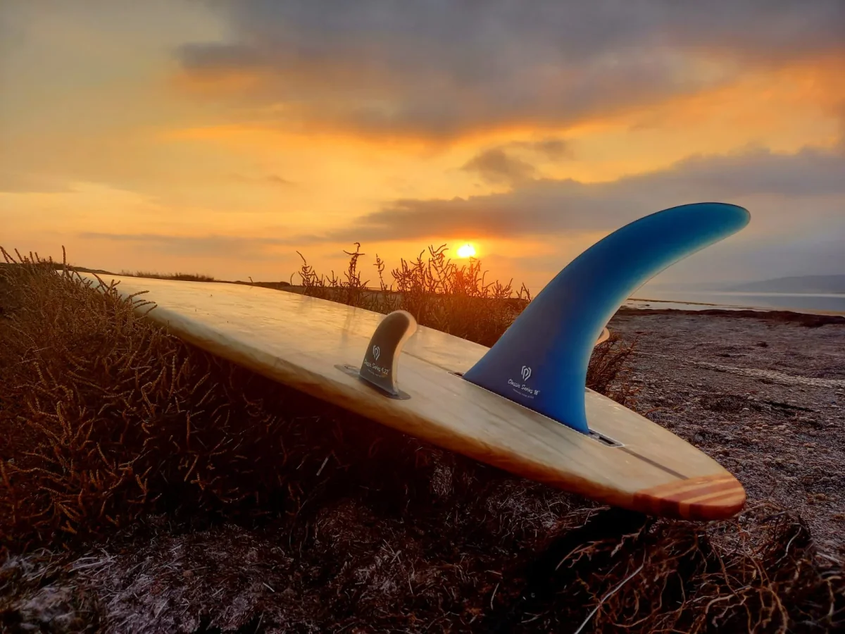 Aileron Surf - Central Blue Classic 10'' – Image 2