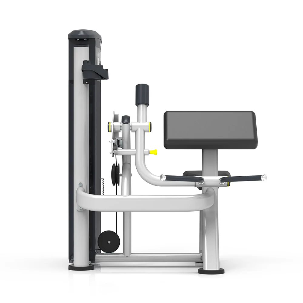 Poste Biceps – Image 4