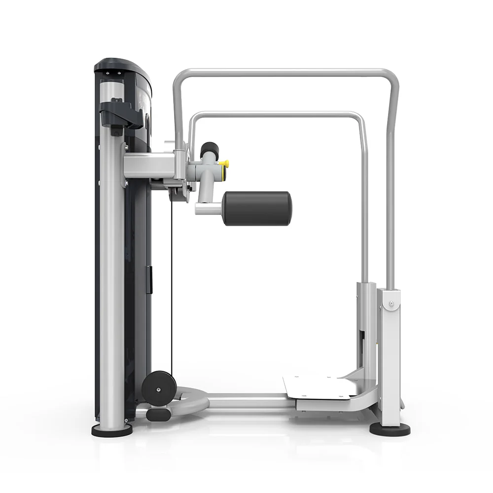 hanche/fessier – Image 3